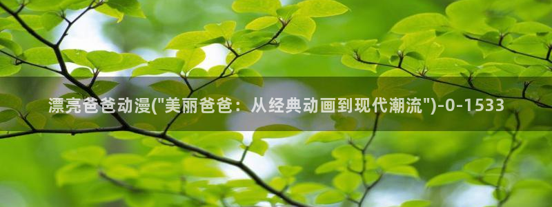 雪鹰领主动漫：漂亮爸爸动漫(\