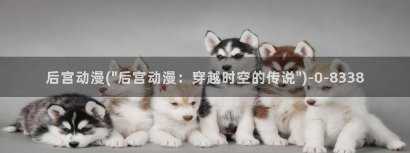 未来日记动漫：后宫动漫(\