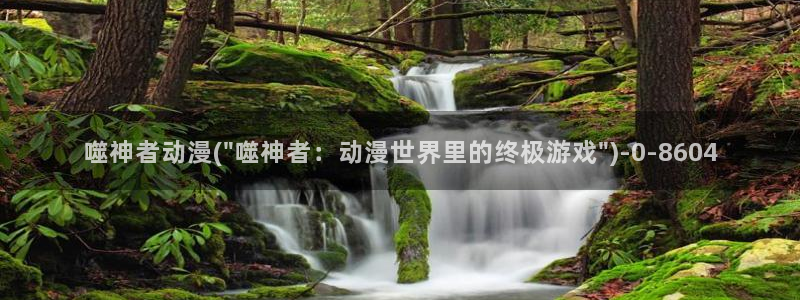 肉动漫：噬神者动漫(\