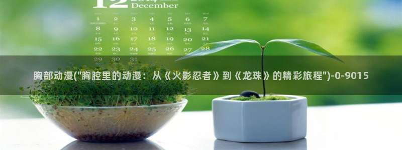 age动漫：胸部动漫(\