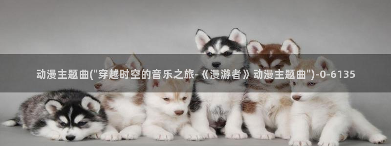 电锯人动漫